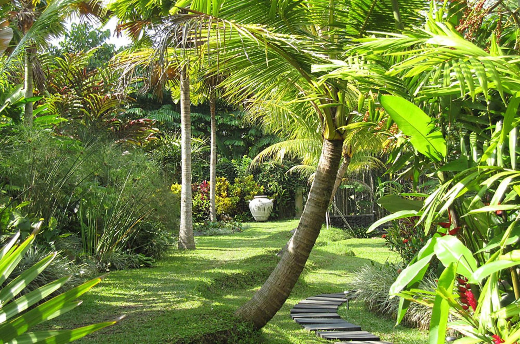 טגלאלאנג Jendela Di Bali Villa מראה חיצוני תמונה